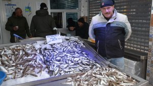 Av yasağı bitti ama hamsi de bitti