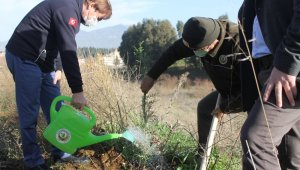 Aydın'da, 112 fidan toprakla buluştu
