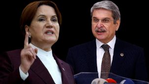 Aytun Çıray, Akşener'in başdanışmanı oldu