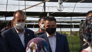 Bakan Pakdemirli'den doludan zarar gören çiftçilere ziyaret