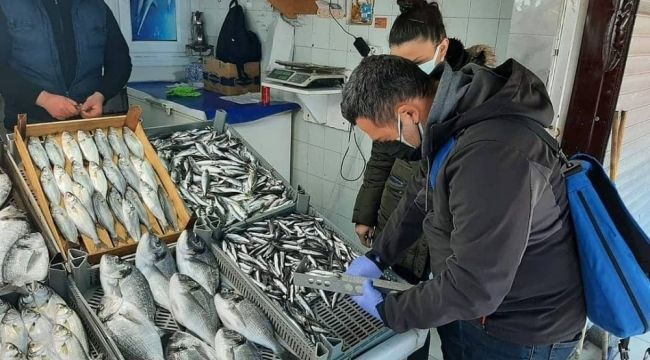 Balıklar boy boy denetleniyor