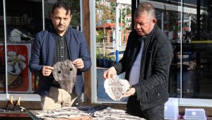 Balon balığı derisi ayakkabı, cüzdan, çanta olacak