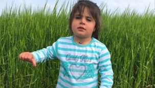 Bilirkişi faciası! Cinsel istismar yok denmişti, olduğu ortaya çıktı