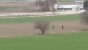 Bolu'da, köpeğe tecavüz ederken suçüstü yakalanan şahsa 15 bin lira ceza