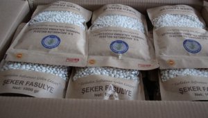 Çetmi Şeker Fasulyesi, Almanya'ya ihraç edildi