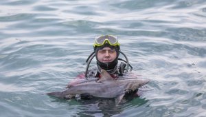Denize bırakılan atıl ağlar köpek balığı yavrusunu öldürdü!