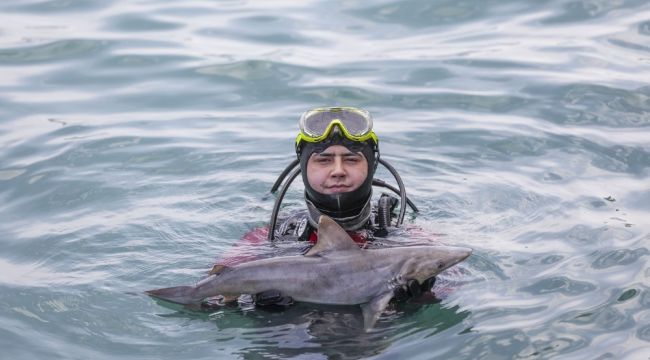 Denize bırakılan atıl ağlar köpek balığı yavrusunu öldürdü!