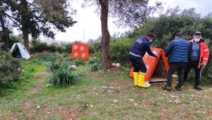 Didim'de, patili dostlara kulübe 