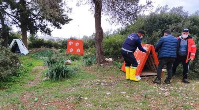 Didim'de, patili dostlara kulübe 