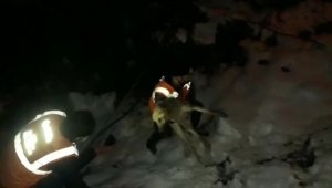 Donmak üzere olan köpek belediye ekiplerince kurtarıldı