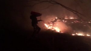 Düzce'de orman yangını