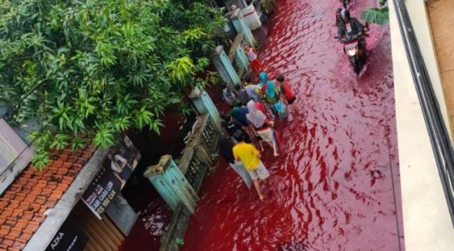Endonezya'da sel suları boya ile karıştı, sokaklar kırmızıya büründü