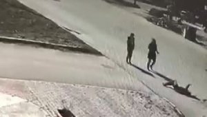 Genç kıza çarptı, "taşa vurdum" deyip gitti