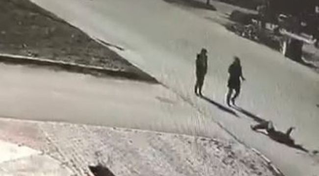 Genç kıza çarptı, "taşa vurdum" deyip gitti