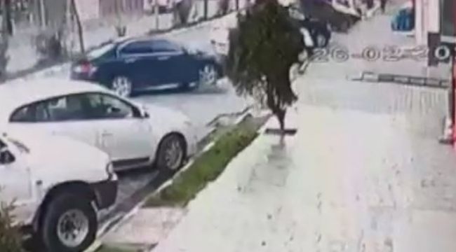 Hamile sokak köpeğinin üzerinden arabayla geçti