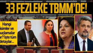 Hangi milletvekili hangi suçla itham ediliyor?