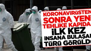 İlk kez insana bulaşan türü görüldü