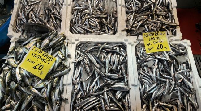 İstanbul'da hamsinin fiyatı 40 liraya yükseldi