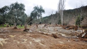 İzmir'de sel tarım arazilerini vurdu