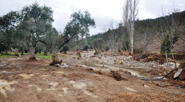 İzmir'de sel tarım arazilerini vurdu