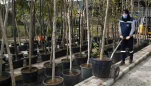 Karabağlar'ın fidanlığı yeşerdi