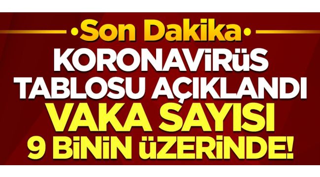 Korona virüsten 71 kişi hayatını kaybetti