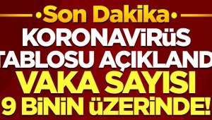 Korona virüsten 71 kişi hayatını kaybetti