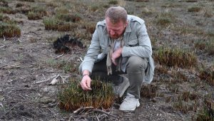 'Kuş Cenneti'nde büyük risk