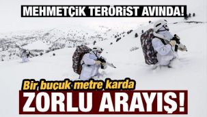 Mehmetçik, 1.5 metre karda terörist peşinde!