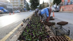 Pamukkale Belediyesi süs bitkilerini kendi yetiştiriyor