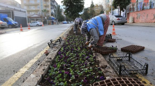 Pamukkale Belediyesi süs bitkilerini kendi yetiştiriyor