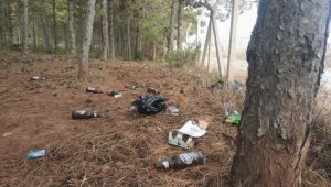 Pes! Çöplük mü, orman mı?