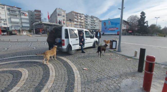 Polisler kısıtlamada sokak hayvanlarını besledi