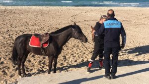 Sakatlanan yarış atına Çeşme'de plaj engeli