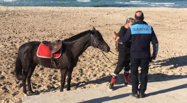 Sakatlanan yarış atına Çeşme'de plaj engeli