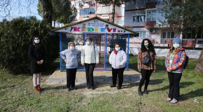Selçuk'ta Kediler Günü'nde can dostlarına kedi evi