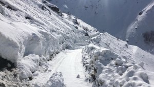 Şemdinli'de çığ felaketi