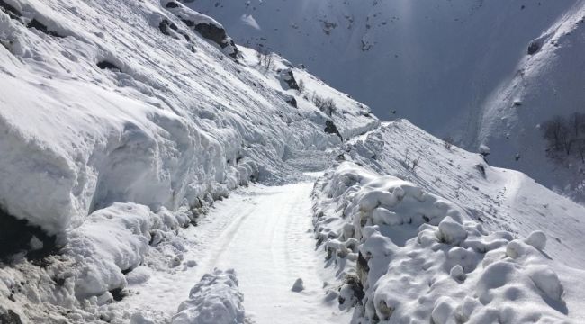 Şemdinli'de çığ felaketi