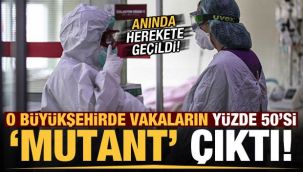 Şok! O büyükşehirde vakaların yarısı mutant çıktı!