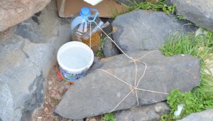 Sokak hayvanlarının mama kapları kayboluyor