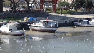Sular çekildi, tekneler karaya oturdu!