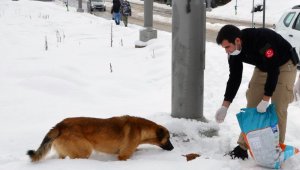 Türk polisi patili canları unutmadı