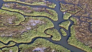 Türkiye'nin ilk Yeşil Şehir Eylem Planı İzmir için hazırlandı