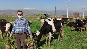 Üretici maliyetten, tüketici komisyoncudan şikayetçi