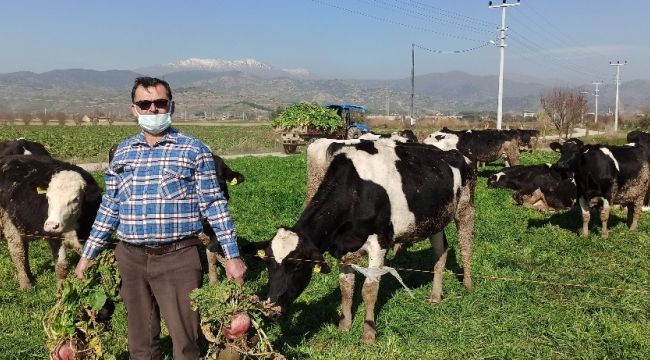 Üretici maliyetten, tüketici komisyoncudan şikayetçi