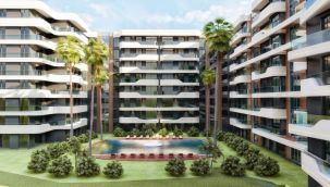 Yarım asırlık 90 ağaç taşınıyor