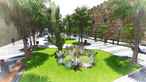 Yaşlı palmiyelerin yerine gençleri dikilecek