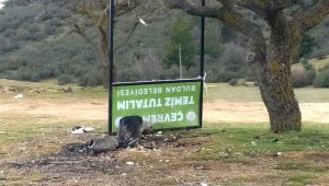 Yayla gölünde çirkin manzaralar