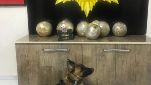 Yolcu otobüsünde 14 kilo uyuşturucu ala geçirildi