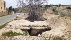 400 yıllık tarihi hamamın içinde incir ağacı